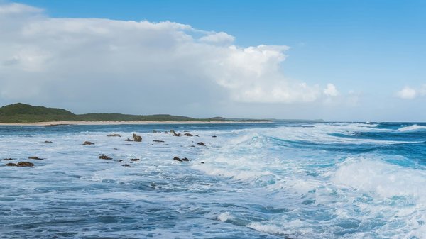 Quels sont les meilleurs circuits pour découvrir les châteaux de la vallée de la Loire, France : histoire et conseils pratiques ?